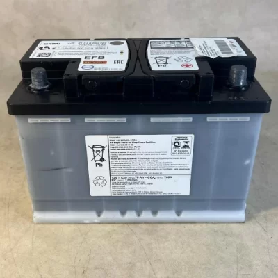 BMW 318i Battery