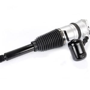 Audi A8 Air Suspension | Air Strut, Air Spring, and Compressor for A8 and S8